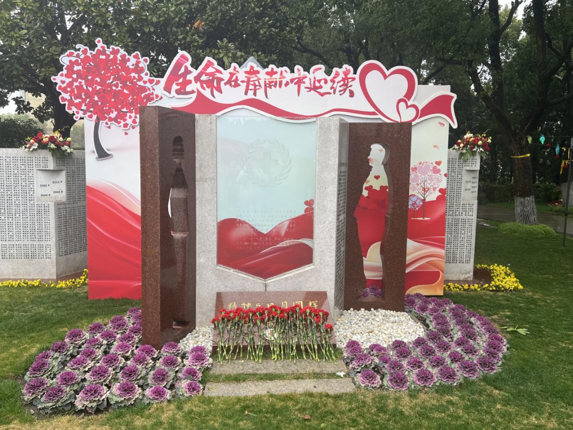 图片6